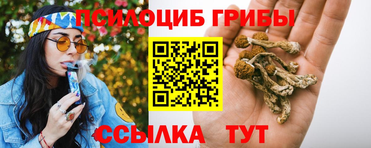 Галлюциногенные грибы Psilocybe Воткинск